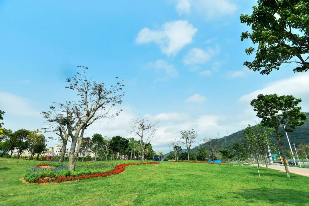 1604397464392531.png 04.png