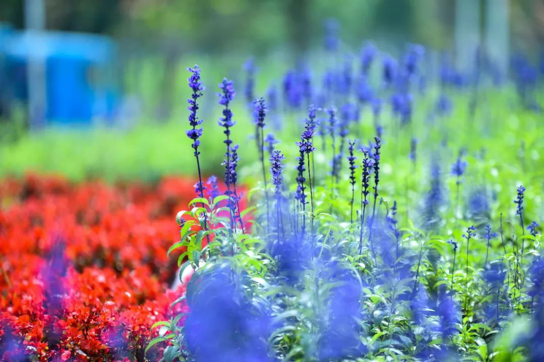 1604397844218059.png 16.png