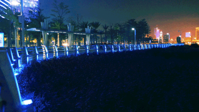 1604479020738969.gif 04.gif